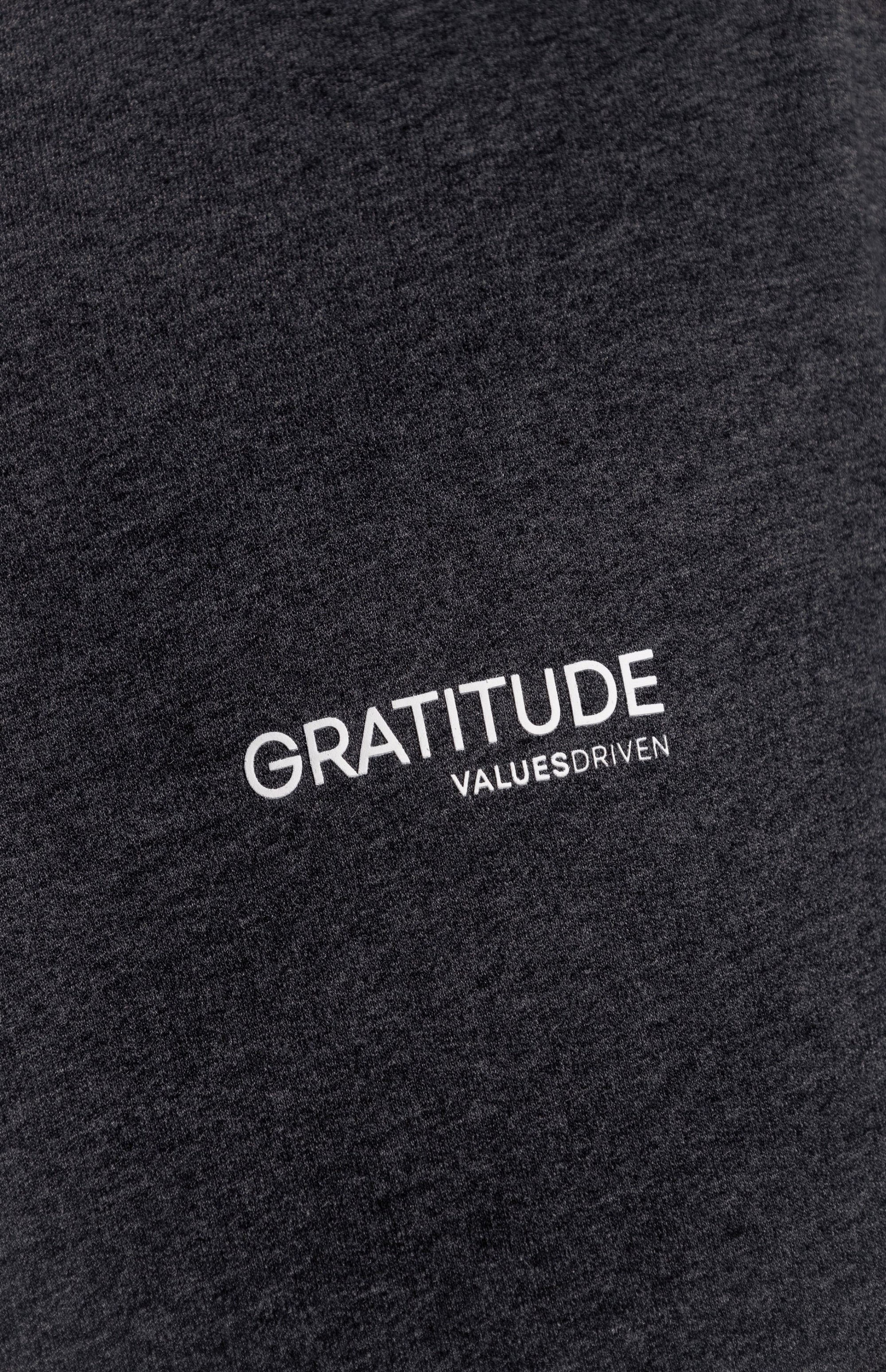 Gratitude Hoodie Gray