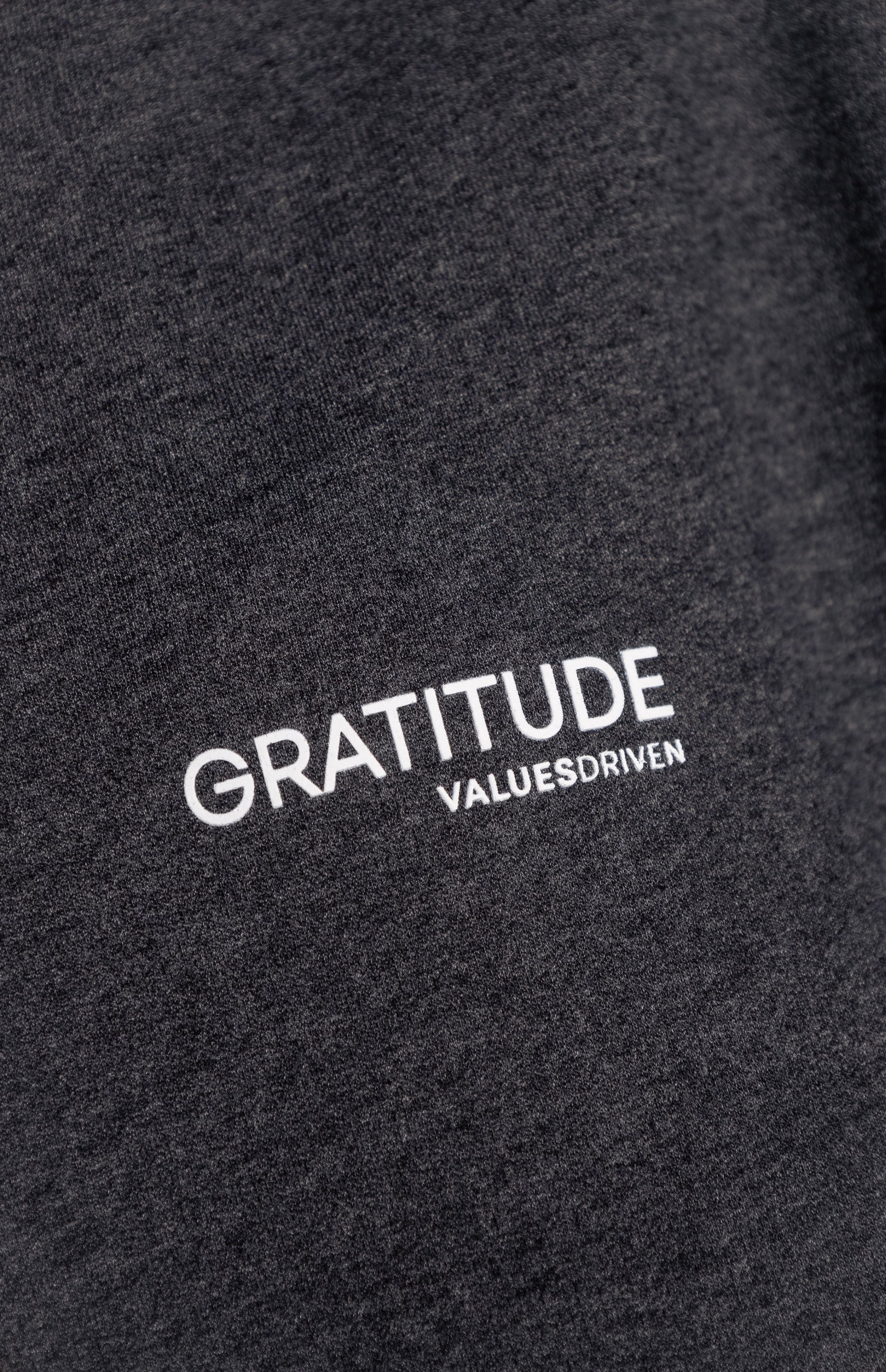 Gratitude Hoodie Gray