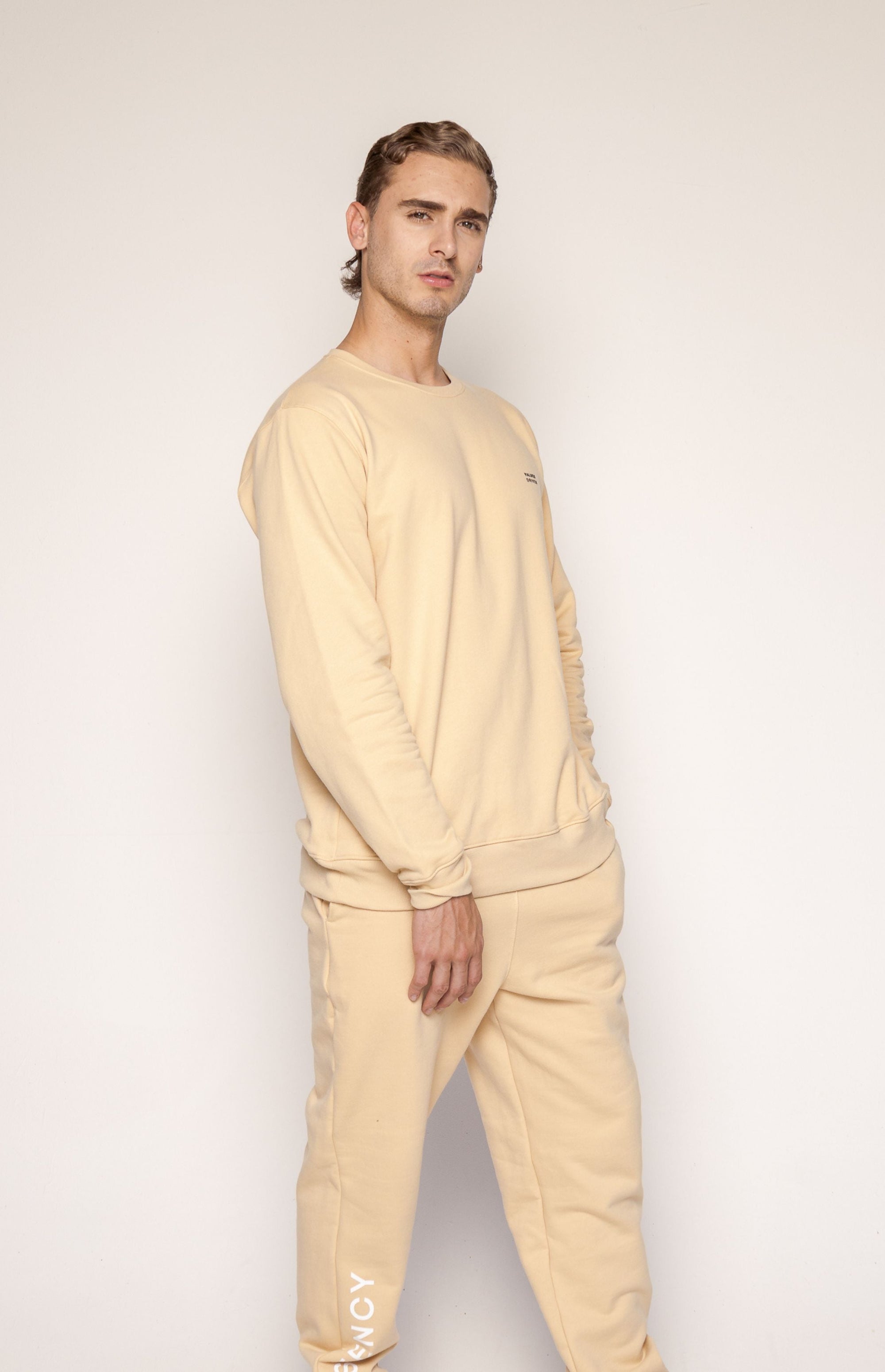 Consistency Crewneck Beige